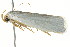  ( - CCDB-15853-G08)  @12 [ ] CreativeCommons - Attribution (2011) ANIC/CBG Photography Group Centre for Biodiversity Genomics
