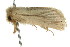  ( - CCDB-15856-E09)  @11 [ ] CreativeCommons - Attribution (2011) ANIC/CBG Photography Group Centre for Biodiversity Genomics