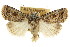  ( - CCDB-15856-H09)  @11 [ ] CreativeCommons - Attribution (2011) ANIC/CBG Photography Group Centre for Biodiversity Genomics