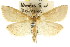 ( - CCDB-15858-E12)  @11 [ ] CreativeCommons - Attribution (2011) ANIC/CBG Photography Group Centre for Biodiversity Genomics