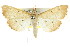  ( - CCDB-15859-A02)  @11 [ ] CreativeCommons - Attribution (2011) ANIC/CBG Photography Group Centre for Biodiversity Genomics