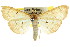  ( - CCDB-15859-A03)  @11 [ ] CreativeCommons - Attribution (2011) ANIC/CBG Photography Group Centre for Biodiversity Genomics
