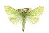  ( - CCDB-15859-A12)  @11 [ ] CreativeCommons - Attribution (2011) ANIC/CBG Photography Group Centre for Biodiversity Genomics