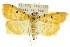  ( - CCDB-15859-D01)  @11 [ ] CreativeCommons - Attribution (2011) ANIC/CBG Photography Group Centre for Biodiversity Genomics