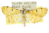  ( - CCDB-15859-D02)  @11 [ ] CreativeCommons - Attribution (2011) ANIC/CBG Photography Group Centre for Biodiversity Genomics