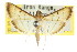  ( - CCDB-15859-F05)  @11 [ ] CreativeCommons - Attribution (2011) ANIC/CBG Photography Group Centre for Biodiversity Genomics
