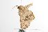 ( - ANIC Gen No. 000901)  @12 [ ] Copyright (2010) Unspecified Australia National Insect Collection