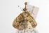 ( - ANIC Gen No. 001024)  @13 [ ] Copyright (2010) Unspecified Australia National Insect Collection