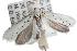  ( - ANIC Gen No. 001761)  @13 [ ] Copyright (2010) Unspecified Australia National Insect Collection