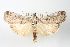  ( - ANIC Gen No. 003531)  @11 [ ] Copyright (2010) Unspecified Australia National Insect Collection