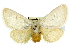  ( - 10ANIC-00046)  @14 [ ] CreativeCommons - Attribution (2010) CBG Photography Group Centre for Biodiversity Genomics