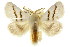  ( - 10ANIC-00474)  @14 [ ] CreativeCommons - Attribution (2010) CBG Photography Group Centre for Biodiversity Genomics
