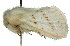  ( - 10ANIC-00476)  @13 [ ] CreativeCommons - Attribution (2010) CBG Photography Group Centre for Biodiversity Genomics