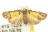  ( - 10ANIC-00576)  @13 [ ] CreativeCommons - Attribution (2010) CBG Photography Group Centre for Biodiversity Genomics