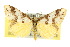  ( - 10ANIC-00765)  @11 [ ] CreativeCommons - Attribution (2010) CBG Photography Group Centre for Biodiversity Genomics