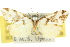  ( - 10ANIC-00771)  @11 [ ] CreativeCommons - Attribution (2010) CBG Photography Group Centre for Biodiversity Genomics