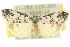  ( - 10ANIC-00809)  @11 [ ] CreativeCommons - Attribution (2010) CBG Photography Group Centre for Biodiversity Genomics