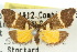  ( - 10ANIC-00845)  @11 [ ] CreativeCommons - Attribution (2010) CBG Photography Group Centre for Biodiversity Genomics