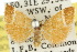  ( - 10ANIC-00905)  @13 [ ] CreativeCommons - Attribution (2010) CBG Photography Group Centre for Biodiversity Genomics
