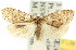  ( - 10ANIC-00969)  @14 [ ] CreativeCommons - Attribution (2010) CBG Photography Group Centre for Biodiversity Genomics