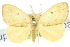  ( - 10ANIC-01412)  @11 [ ] CreativeCommons - Attribution (2010) CBG Photography Group Centre for Biodiversity Genomics