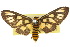  ( - 10ANIC-01254)  @11 [ ] CreativeCommons - Attribution (2010) CBG Photography Group Centre for Biodiversity Genomics