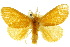  ( - 10ANIC-01447)  @11 [ ] CreativeCommons - Attribution (2010) CBG Photography Group Centre for Biodiversity Genomics