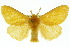  ( - 10ANIC-01448)  @14 [ ] CreativeCommons - Attribution (2010) CBG Photography Group Centre for Biodiversity Genomics