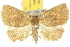  ( - 10ANIC-01644)  @14 [ ] CreativeCommons - Attribution (2010) CBG Photography Group Centre for Biodiversity Genomics