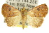  ( - 10ANIC-01654)  @14 [ ] CreativeCommons - Attribution (2010) CBG Photography Group Centre for Biodiversity Genomics