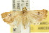  ( - 10ANIC-01655)  @13 [ ] CreativeCommons - Attribution (2010) CBG Photography Group Centre for Biodiversity Genomics