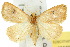 ( - 10ANIC-01656)  @14 [ ] CreativeCommons - Attribution (2010) CBG Photography Group Centre for Biodiversity Genomics