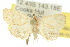  ( - 10ANIC-01662)  @13 [ ] CreativeCommons - Attribution (2010) CBG Photography Group Centre for Biodiversity Genomics