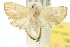  ( - 10ANIC-01663)  @14 [ ] CreativeCommons - Attribution (2010) CBG Photography Group Centre for Biodiversity Genomics