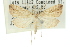 ( - 10ANIC-01667)  @11 [ ] CreativeCommons - Attribution (2010) CBG Photography Group Centre for Biodiversity Genomics