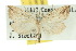  ( - 10ANIC-01668)  @11 [ ] CreativeCommons - Attribution (2010) CBG Photography Group Centre for Biodiversity Genomics