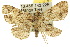  ( - 10ANIC-01860)  @14 [ ] CreativeCommons - Attribution (2010) CBG Photography Group Centre for Biodiversity Genomics
