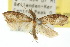  ( - 10ANIC-02059)  @12 [ ] CreativeCommons - Attribution (2010) CBG Photography Group Centre for Biodiversity Genomics