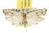  ( - 10ANIC-02097)  @14 [ ] CreativeCommons - Attribution (2010) CBG Photography Group Centre for Biodiversity Genomics