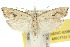 ( - 10ANIC-02098)  @14 [ ] CreativeCommons - Attribution (2010) CBG Photography Group Centre for Biodiversity Genomics