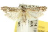  ( - 10ANIC-02113)  @15 [ ] CreativeCommons - Attribution (2010) CBG Photography Group Centre for Biodiversity Genomics