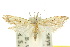 ( - 10ANIC-02123)  @14 [ ] CreativeCommons - Attribution (2010) CBG Photography Group Centre for Biodiversity Genomics