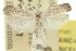  ( - 10ANIC-02139)  @11 [ ] CreativeCommons - Attribution (2010) CBG Photography Group Centre for Biodiversity Genomics