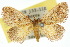  (Elassoptila - 10ANIC-02295)  @15 [ ] CreativeCommons - Attribution (2010) CBG Photography Group Centre for Biodiversity Genomics