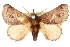  ( - 10ANIC-02329)  @14 [ ] CreativeCommons - Attribution (2010) CBG Photography Group Centre for Biodiversity Genomics