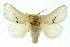  ( - 10ANIC-02338)  @15 [ ] CreativeCommons - Attribution (2010) CBG Photography Group Centre for Biodiversity Genomics