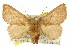  ( - 10ANIC-02339)  @11 [ ] CreativeCommons - Attribution (2010) CBG Photography Group Centre for Biodiversity Genomics