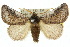  ( - 10ANIC-02428)  @15 [ ] CreativeCommons - Attribution (2010) CBG Photography Group Centre for Biodiversity Genomics