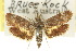  ( - 10ANIC-02564)  @11 [ ] CreativeCommons - Attribution (2010) CBG Photography Group Centre for Biodiversity Genomics