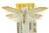  ( - 10ANIC-02878)  @14 [ ] CreativeCommons - Attribution (2010) CBG Photography Group Centre for Biodiversity Genomics